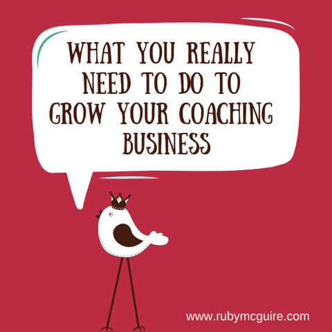 Bird Tweeting What You Really Need to do to Grow Your Coaching Business on red background