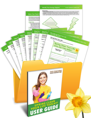 Spring Clean Your Life Coaching Tools, Exercises, Tools, Forms, Templates, Worksheets in a Folder