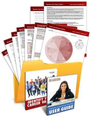 Career Coaching Toolkit with 9 Career Coaching Tools and User Guide