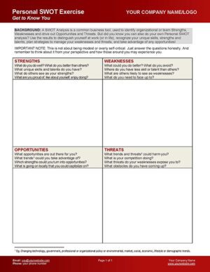 Personal SWOT Exercise Coaching Tool