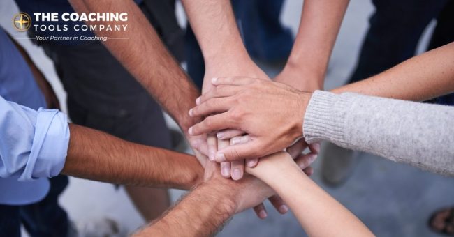 teamwork-hands-business-people-with-top-view-collaboration-partnership-cooperation-support-unity-partners-with-finger-stack-motivation-team-building-success-celebration-1200×628-1.jpg