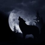 Wolf silhouette in moonlight symbolising inner saboteurs